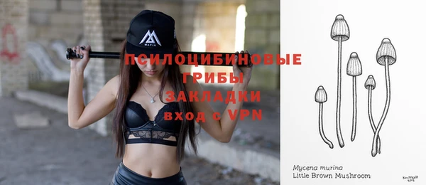 мдпв Снежинск
