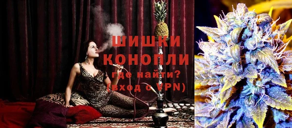 мдпв Снежногорск