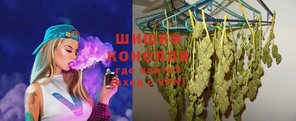 мдпв Снежногорск