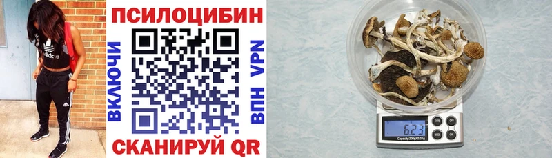 наркотики  Волоколамск  Псилоцибиновые грибы мухоморы 