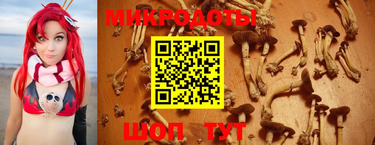 Волоколамск  Галлюциногенные грибы MAGIC MUSHROOMS  как найти наркотики  Псилоцибиновые грибы MAGIC MUSHROOMS  Вход с VPN 