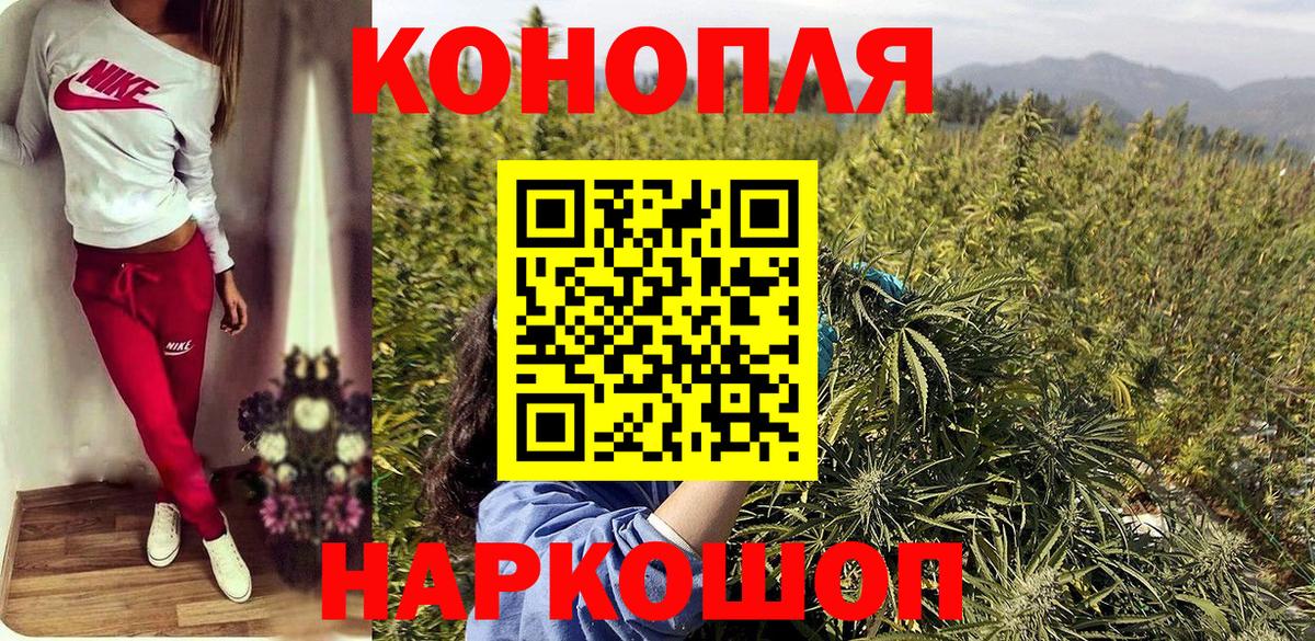 Канабис гибрид Волоколамск